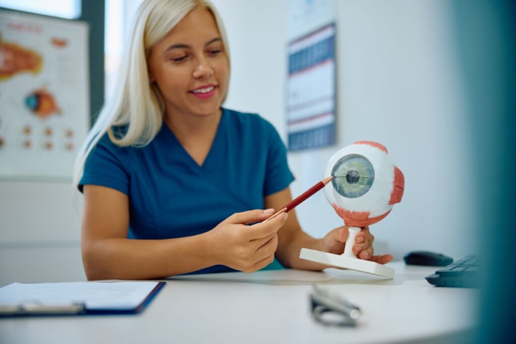 An optometrist pointing to a 3D model of an eye, sharing eye health tips.